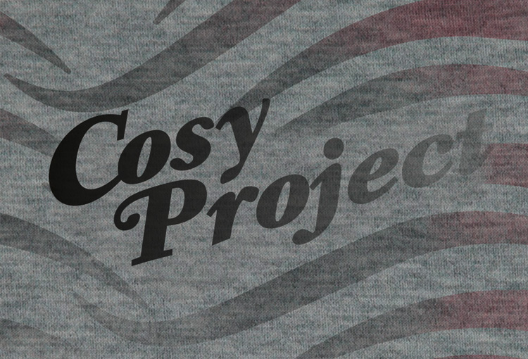 Cosy_project_1